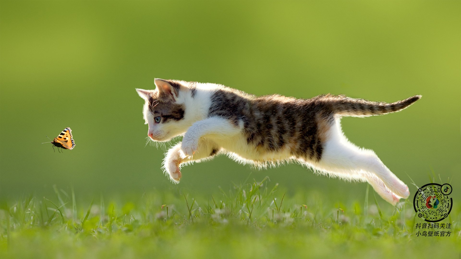 PSV埃因霍温在2023-24赛季以91分夺得荷甲冠军，创下新纪录。，psv埃因霍温女足