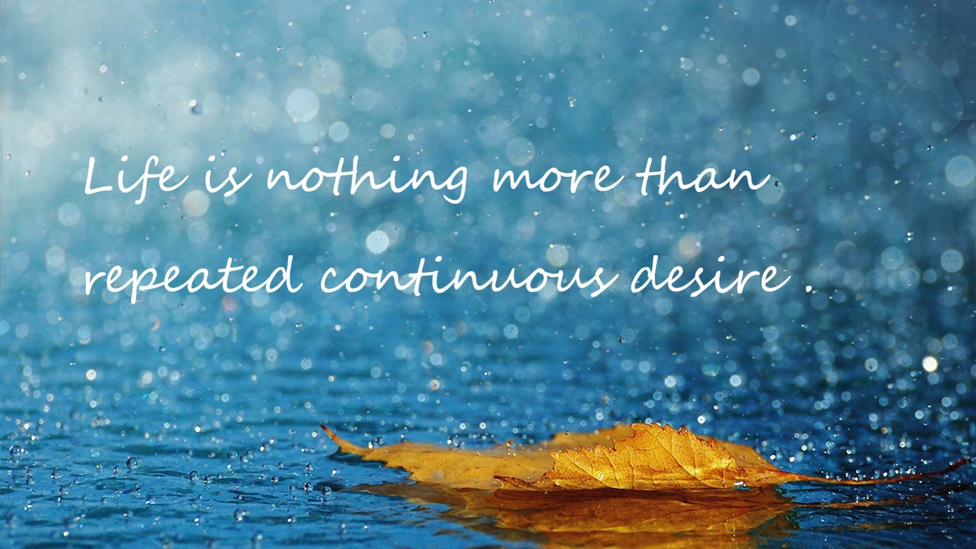 《激情对决：“黑马”队伍逆袭夺冠》，激情对线是什么意思